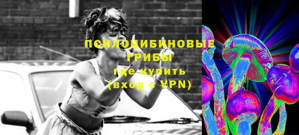 спайс Беломорск